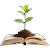 5k-plants